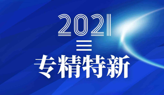 我司荣获浙江省“专精特新”中小企业